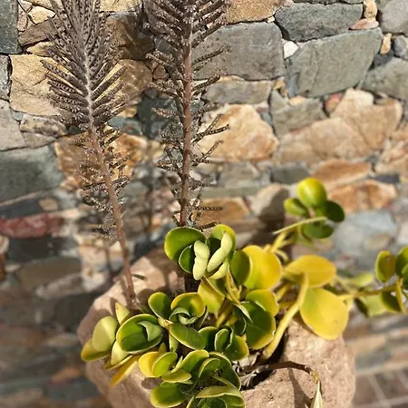 Joshualba بيت للعطل *