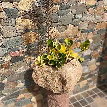 Дом отдыха Joshualba Mezquez