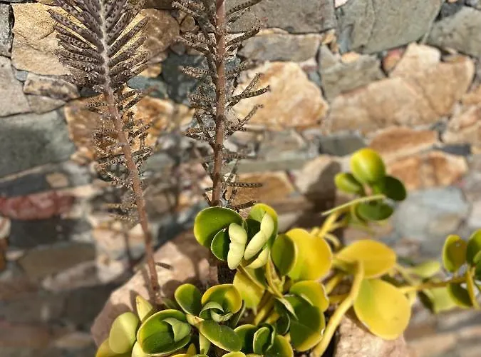 Joshualba Ferienhaus *