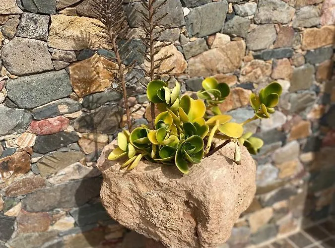 بيت للعطل Joshualba Mezquez